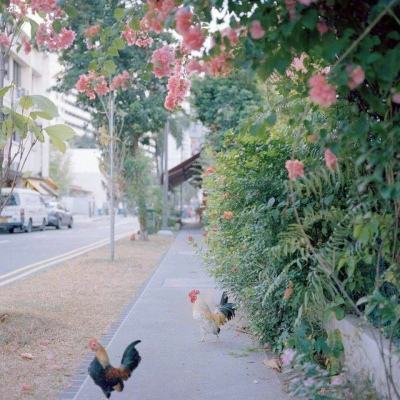 安博.体育手机app下载