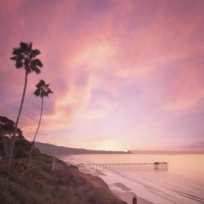 星空下载站官网app下载