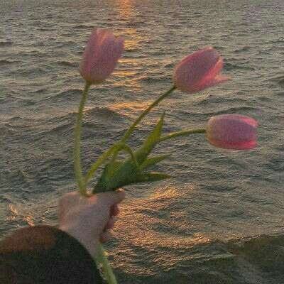 bat365官网登录入口