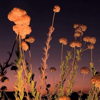 腾讯分分手机app下载