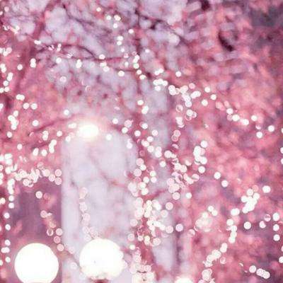 BOB半岛·体育截图